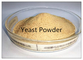 Les produits vivants La levure en poudre riche en vitamines B et en micronutriments organiques, 40 kg par sac
