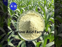 Hydrolysés végétaux riches en peptides et acides aminés par processus enzymatique et de fermentation