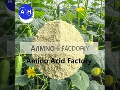 Hydrolysats de protéines de poisson pour les plantes Biostimulant et stimulateur de croissance avec NPK 15-1-1