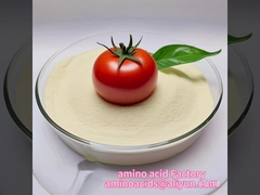 Aminoacides 90 poudre à haute teneur en N pour améliorer les racines et la floraison