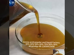 Engrais liquide au calcium bore, engrais pour arbres fruitiers avec acides aminés dans les plantes