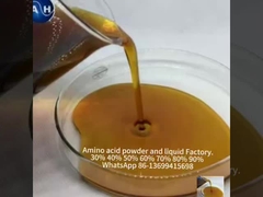 Minéraux chélatés d'acides aminés de molybdène organiques stimulant la croissance des plantes