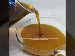 Aminoacide chélaté potassium pour la couleur des fruits favorisant le développement de la couleur rouge