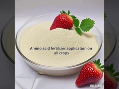 Engrais à base d'acides aminés à 70% engrais 100% soluble dans l'eau