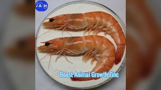 Magnésium chélaté