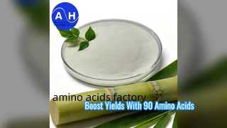 90 Percent Amino Acid Powder for Organic Fertilizer
