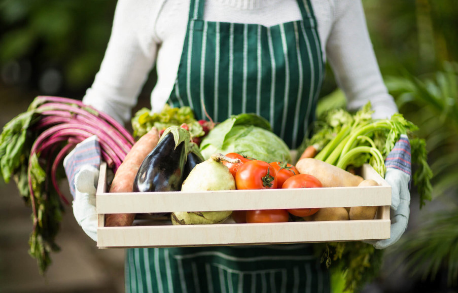 Derniers blogs de l'entreprise sur L'engrais d'acide aminé favorise l'absorption des éléments nutritifs par des cultures