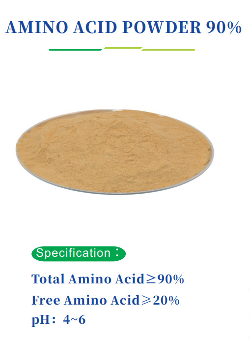 Derniers blogs de l'entreprise sur NOUVEAU PRODUIT / poudre d'acides aminés 90% sans hydroxyproline