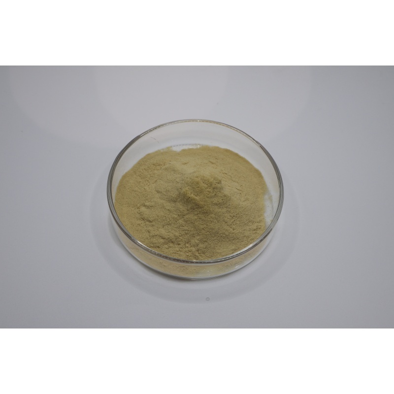 Derniers blogs de l'entreprise sur From Fermentation to Quality Testing: A Technical Guide to Evaluating 90% Fertilizer Grade Amino Acid Powder