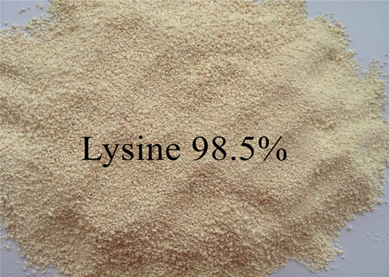 Lysine 99% de catégorie d'alimentation d'acide aminé pour la volaille animale