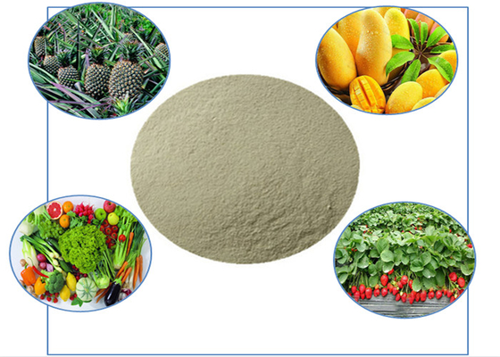 Engrais organiques contenant des acides aminés chélatés, du calcium et du bore dans la nutrition des plantes