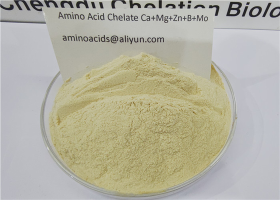 acheter Oligo-éléments chélatés d'acides aminés Calcium Magnésium Zinc Bore Molybdène online manufacture