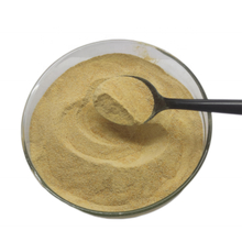 acheter Poudre de levure de bière à haute teneur en vitamine E avec une teneur en humidité inférieure à 13% online manufacture