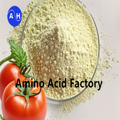 acheter Engrais en poudre d'acides aminés à haut rendement 90 % pour augmenter le rendement des cultures Amino Plus Engrais foliaire online manufacture