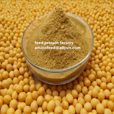acheter Non-GMO Soy Protein Concentrate with 50% Protein Highly Digestible for Poultry and Aquatic Animals online manufacture
