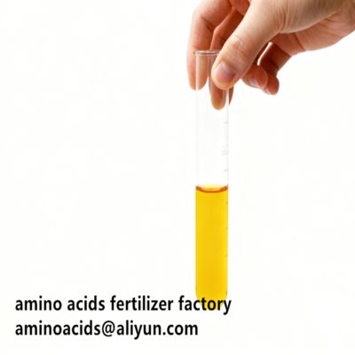 acheter Acides aminés libres végétaux hydrolysés 80% Forme liquide pour l'agriculture biologique online manufacture