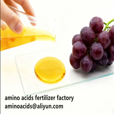 acheter Amino Acid 80% Liquid Hydrolyzed Fertilizer with Free Amino Acid ≥750g/L Total Nitrogen ≥12.0% and High Solubility for Organic Farming online manufacture