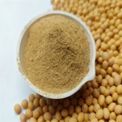 acheter Additifs pour l'alimentation animale à base d'acides aminés Protéines brutes à haute digestibilité de la pepsine pour une nutrition animale complète fabrication en ligne