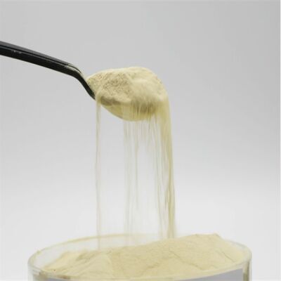 acheter Poudre d'acides aminés source de protéines de maïs 85% d'acides aminés libres avec procédé d'hydrolyse enzymatique et 100% soluble dans l'eau fabrication en ligne