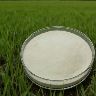 acheter Poudre d'acides aminés hydrolysés par maïs à 85 % de qualité engrais agricole fabrication en ligne