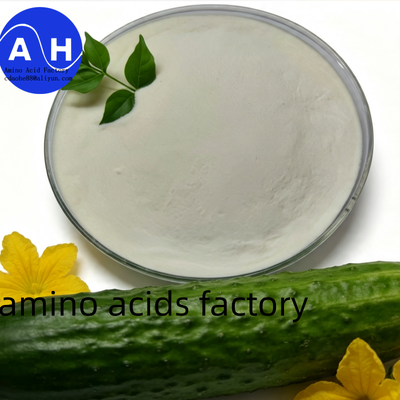 acheter Protéine de maïs Acides Aminés 80% avec Technologie de Deep Hydrolysis, 100% Soluble dans l'eau et Source Non-OGM fabrication en ligne