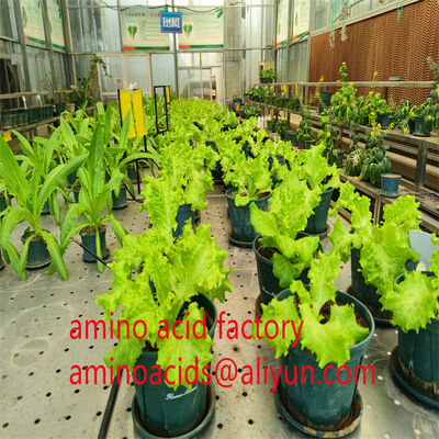 acheter E fabrication en ligne