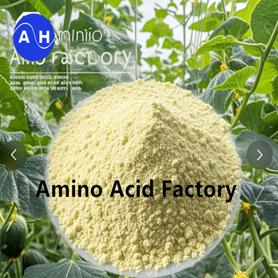 Acide aminé libre 80% hydrolysé comme matière première pour la production d'engrais organiques