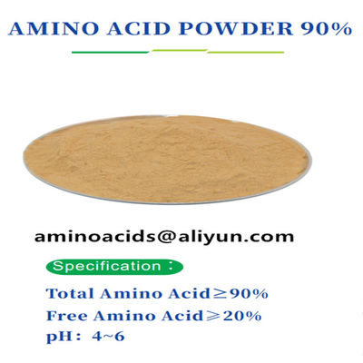 Poudre d'acides aminés extraite de protéines végétales 85 à 90% d'hydroxyproline libre