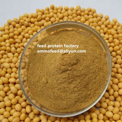 Poudre de protéine de soja hydrolysée sans OGM avec 50% de protéines, poudre jaune clair pour remplacer la farine de poisson